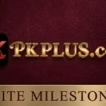 PKPLUS