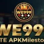 WE999 Game